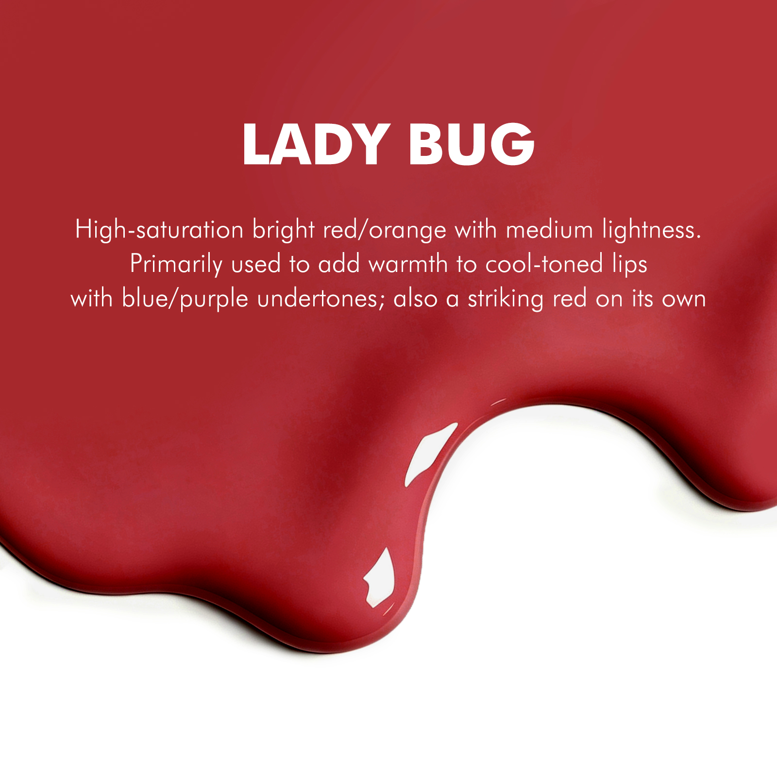 LADY BUG 